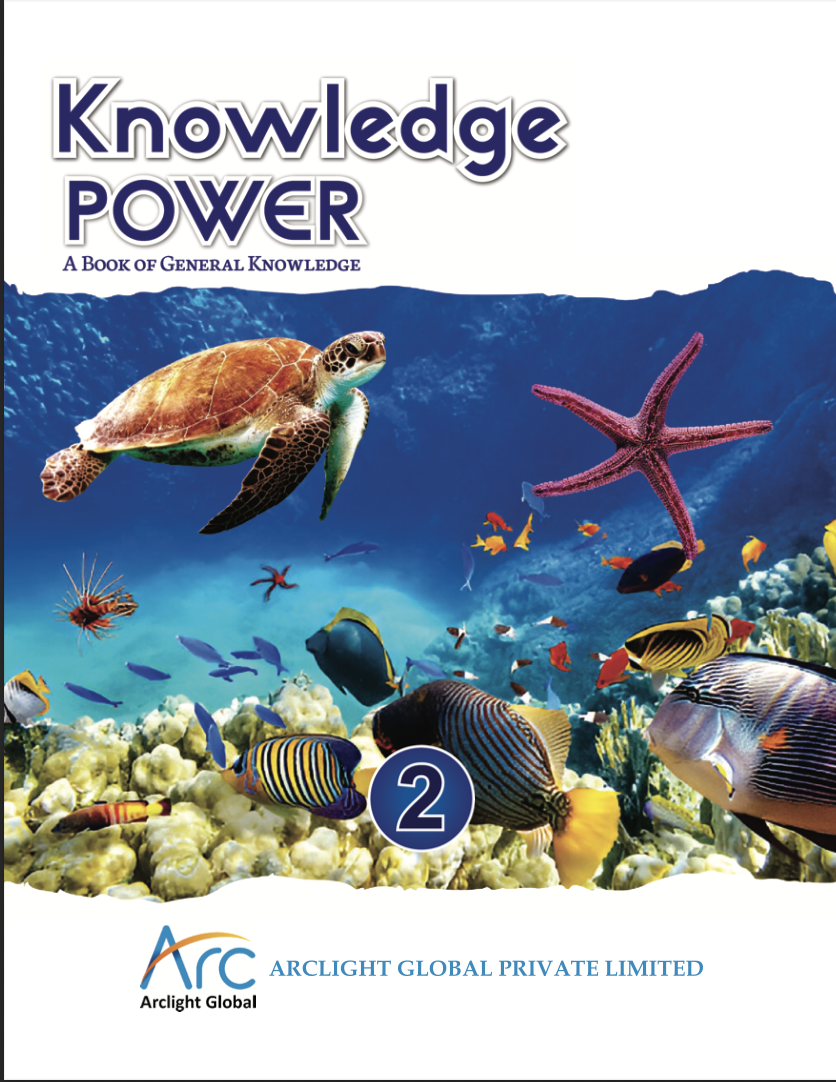 Knowledge Power – 2 – Arclight Global