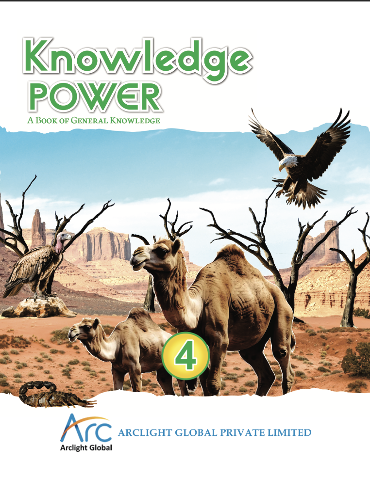 Knowledge Power – 4 – Arclight Global